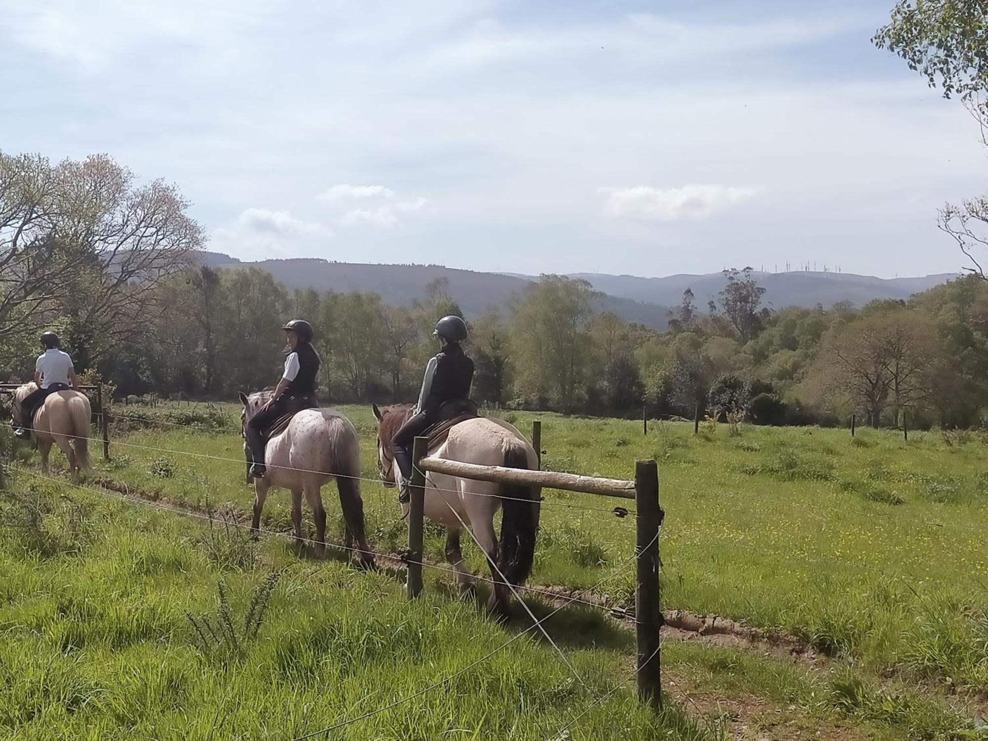 Granja Labrada: Alojamiento Con Caballos Manon Eksteriør bilde